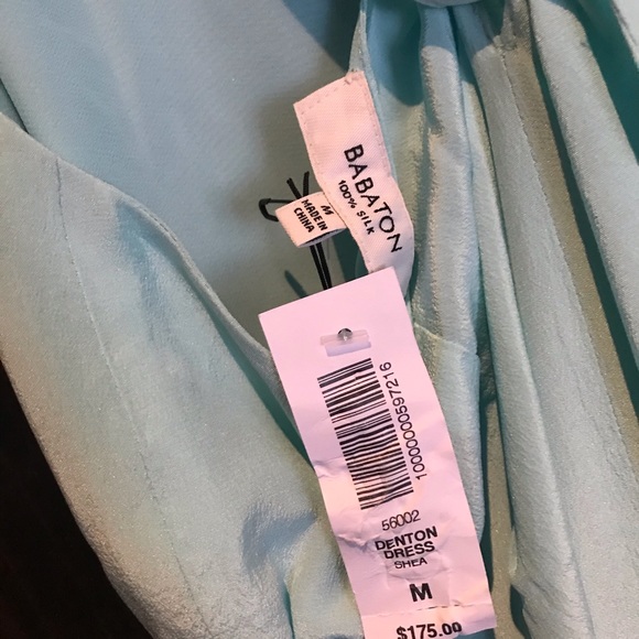 Babton 100% silk dress from Aritzia. NWT - Picture 3 of 4